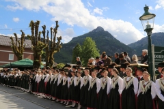 8S9A1235